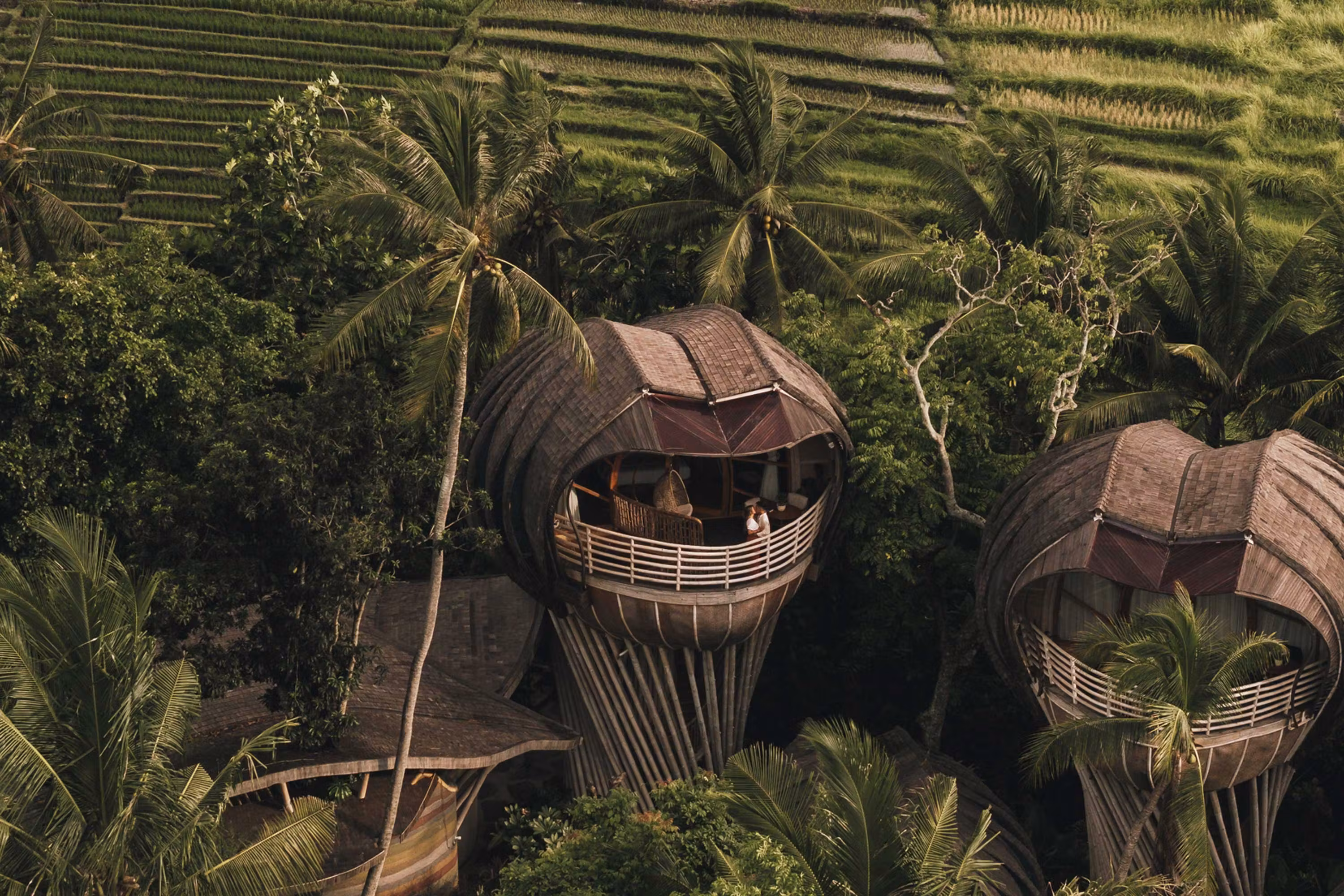 Ulaman Eco Luxury Resort, bamboo buildings in the jungle