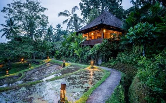 Bali Eco Stay, open air bungalow and river on the slopes of Batukaru